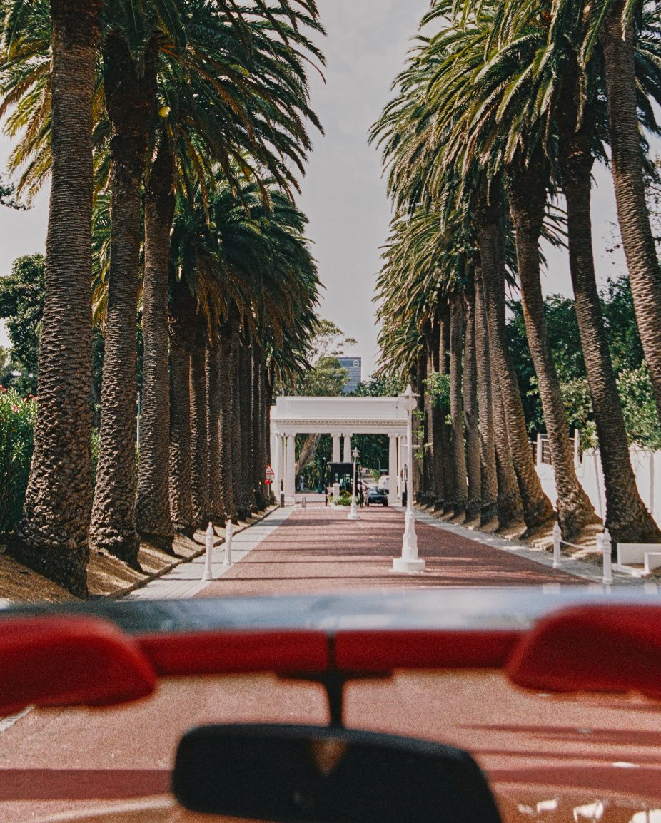 The palm-lined avenue at the Mount Nelson's entrance